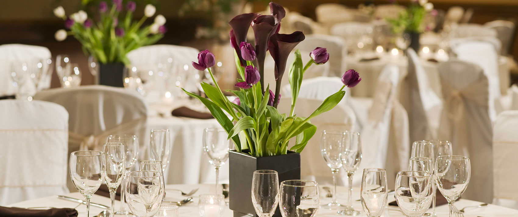 glasses and flowers on a table